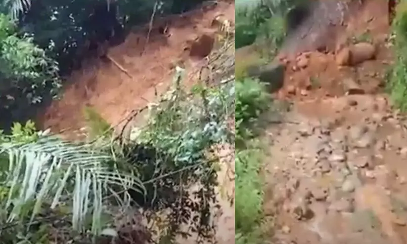 പൊന്മുടിയിൽ മണ്ണിടിച്ചിൽ; യാത്ര നിരോധിച്ചു