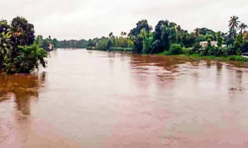 തോരുന്നില്ല, മഴയും ദുരിതവും തോരുന്നില്ല, മഴയും ദുരിതവും