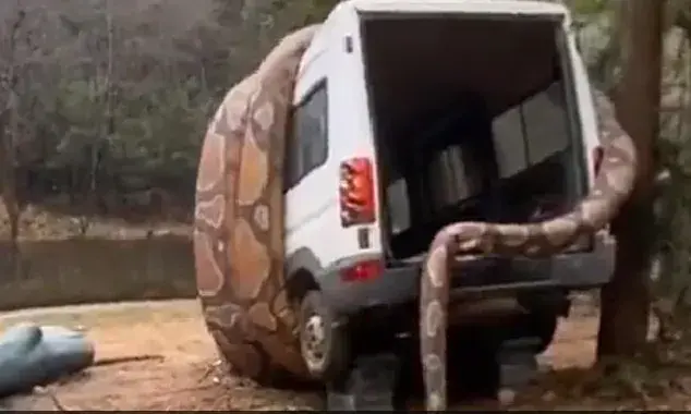 കാർ വരിഞ്ഞുമുറുക്കി വിഴുങ്ങാനൊരുങ്ങി ഭീമൻ പാമ്പ്; യാത്രക്കാർക്ക് എന്തു സംഭവിച്ചു!