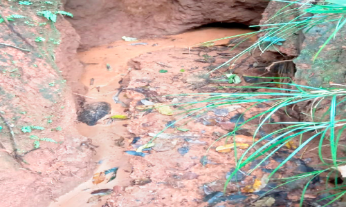 സോയിൽ പൈപ്പിങ് പ്രതിഭാസം; ആശങ്കയൊഴിയാതെ മഠത്തുംകുഴി നിവാസികൾ