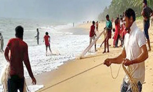 മരക്കാപ്പ് കടപ്പുറത്ത് ഞണ്ട് ചാകര