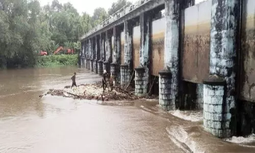 ഇ​ല്ലി​ക്ക​ൽ ഡാ​മി​ന്റെ ഷ​ട്ട​റു​ക​ളി​ൽ ത​ട​ഞ്ഞു​നി​ന്ന വ​ന്മര​ങ്ങ​ൾ നീ​ക്കി