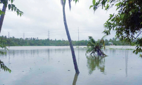 പ്ര​ള​യ​ഭീ​തി: ഉ​റ​ക്ക​മൊ​ഴി​ച്ച് ചാ​ല​ക്കു​ടി​ക്കാ​ർ