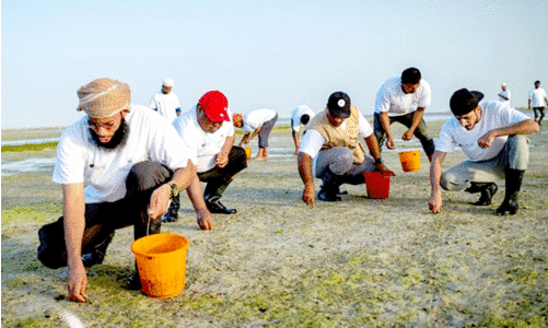 10 lakh saplings were planted