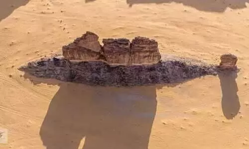 അൽഉലയിൽ വിസ്മയമായി 550 ദശലക്ഷം വർഷം പഴക്കമുള്ള മത്സ്യപ്പാറ