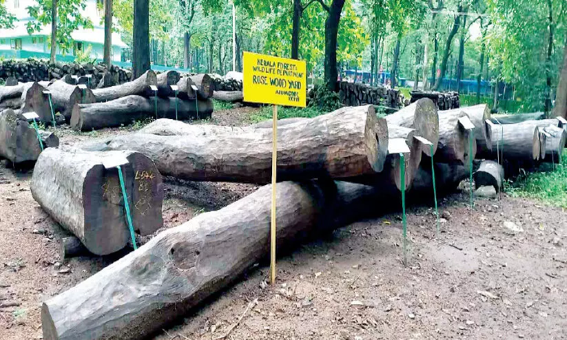 ചരിത്രത്തിലെ ഏറ്റവും വലിയ ഈട്ടി ലേലത്തിനൊരുങ്ങി നിലമ്പൂർ ഡിപ്പോ ചരിത്രത്തിലെ ഏറ്റവും വലിയ ഈട്ടി ലേലത്തിനൊരുങ്ങി നിലമ്പൂർ ഡിപ്പോ