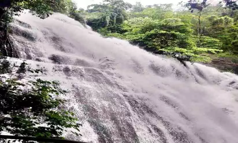 മഴക്കാഴ്ച നുകരാം; മലയോരത്തേക്ക് വരൂ..