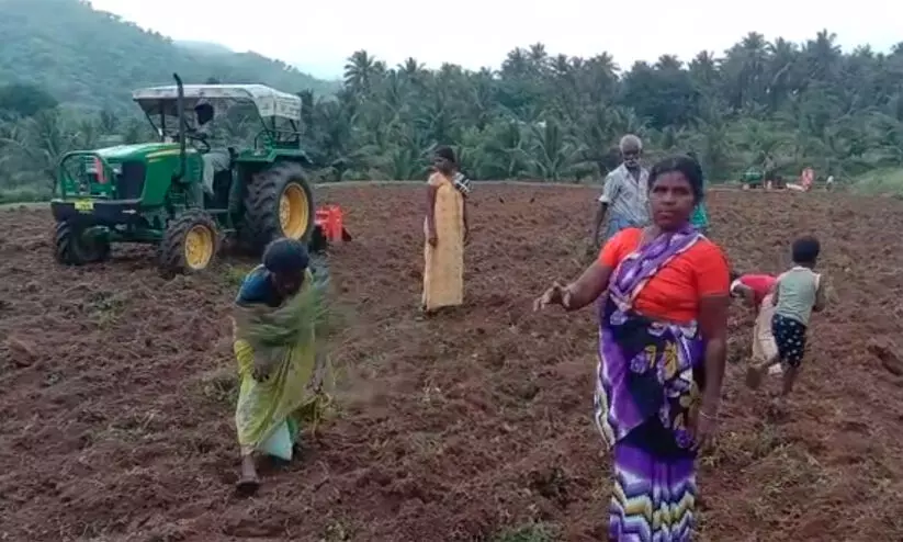 അട്ടപ്പാടി ചീരക്കടവിലെ ഭൂമി ആദിവാസികളുടെ പൂർവികരുടേത് -തഹസിൽദാർ