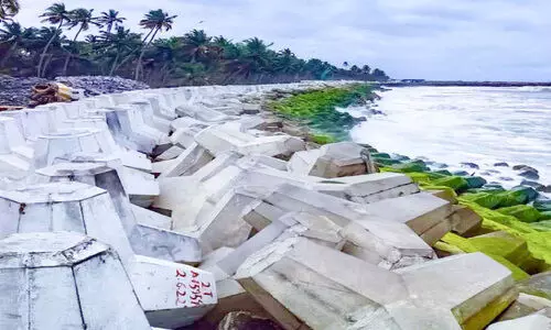 ചെല്ലാനത്ത് ടെട്രാപോഡുകൾ സ്ഥാപിച്ച സ്ഥലങ്ങൾ സുരക്ഷിതം; വടക്കൻ മേഖലയിൽ കടൽകയറ്റം രൂക്ഷം