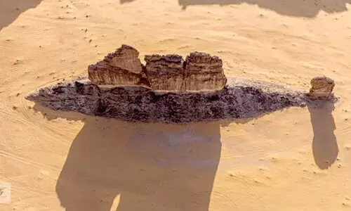 അൽഉലയിൽ 550 ദശലക്ഷം വർഷം പഴക്കമുള്ള മത്സ്യപ്പാറ