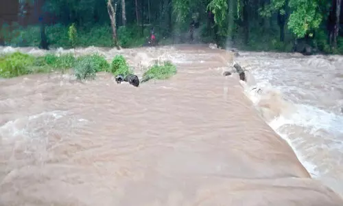 കനത്ത മഴ: മുണ്ടേരി വനത്തില്‍ വിള്ളല്‍ രൂപപ്പെട്ടതായി സൂചന