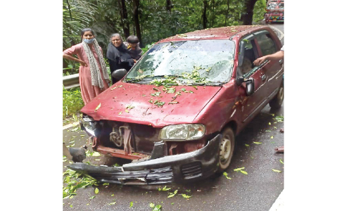 നാടുകാണി ചുരത്തിൽ കാറിനും ലോറിക്കും മുകളിൽ മരങ്ങൾ വീണു