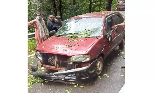 നാടുകാണി ചുരത്തിൽ കാറിനും ലോറിക്കും മുകളിൽ മരങ്ങൾ വീണു