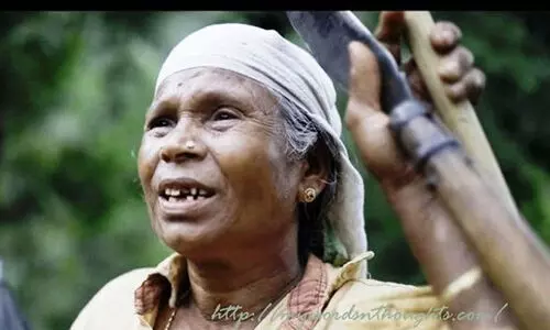 നഞ്ചിയമ്മയെ മുഖ്യമന്ത്രി ആദരിക്കും