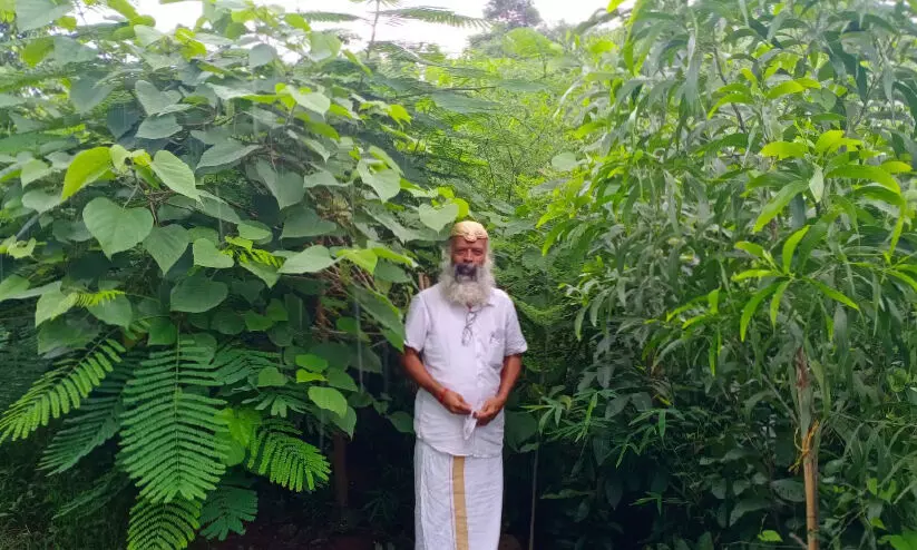 ഒരു വനം, ഒരുകോടി മരങ്ങൾ, ഒരു മനുഷ്യൻ....