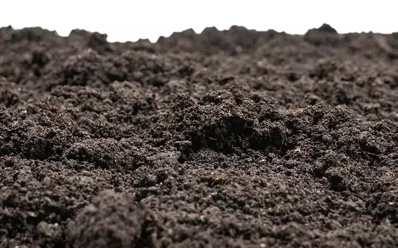 മുണ്ടക്കൈ മലനിരകളില് മണ്ണിടിച്ചിൽ മുണ്ടക്കൈ മലനിരകളില് മണ്ണിടിച്ചിൽ