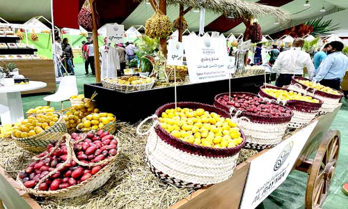 മധുര വൈവിധ്യത്തിൽ ഈത്തപ്പഴ മേള