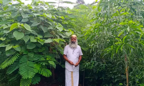 ഒരു വനം, ഒരുകോടി മരങ്ങൾ, ഒരു മനുഷ്യൻ....