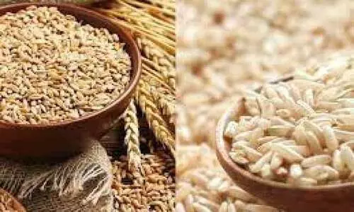 അരിയും ഗോതമ്പും പിടികൂടി