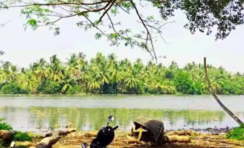 പ്രകൃതിയുടെ വരദാനമായി പച്ചത്തുരുത്തുകൾ പ്രകൃതിയുടെ വരദാനമായി പച്ചത്തുരുത്തുകൾ