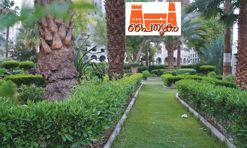 മദീനയിലെ ഹദീഖതുല്‍ ബൈഅ