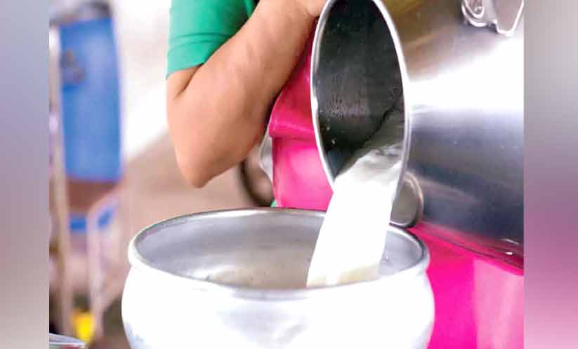 പാൽ ഉൽപാദനം പ്രതിസന്ധിയിൽ; ക്ഷീരസംഘങ്ങൾക്ക് പൂട്ട് വീഴുന്നു