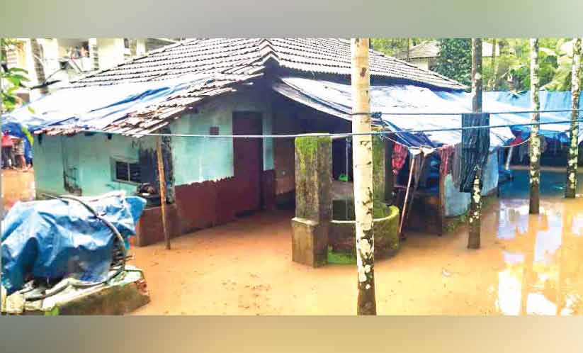 മഴക്ക് ശമനം; കെടുതി ബാക്കി മഴക്ക് ശമനം; കെടുതി ബാക്കി