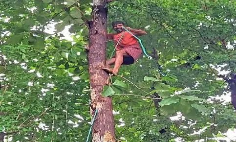 മരംമുറി തൊഴിലാളിയല്ല, ഇത് സബ് എൻജിനീയർ മരംമുറി തൊഴിലാളിയല്ല, ഇത് സബ് എൻജിനീയർ