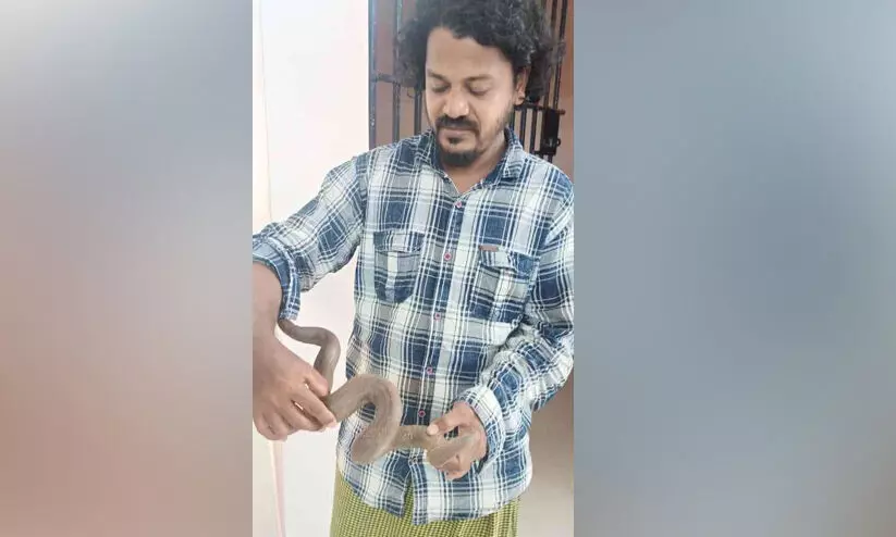 ഇരുതല മൂരിയെ വളർത്തിയ യുവാവ് അറസ്റ്റിൽ ഇരുതല മൂരിയെ വളർത്തിയ യുവാവ് അറസ്റ്റിൽ