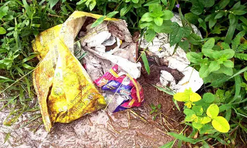 മാലിന്യത്തിൽ വീട്ടമ്മയുടെ തിരിച്ചറിയൽ കാർഡ്; പിഴയടക്കണം