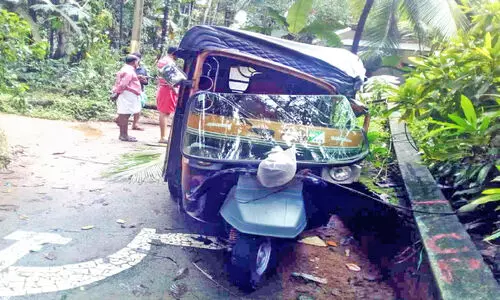ഓട്ടോക്ക് മുകളിൽ തെങ്ങും വൈദ്യുതി തൂണും വീണു; യാത്രക്കാർ രക്ഷപ്പെട്ടത് തലനാരിഴക്ക്