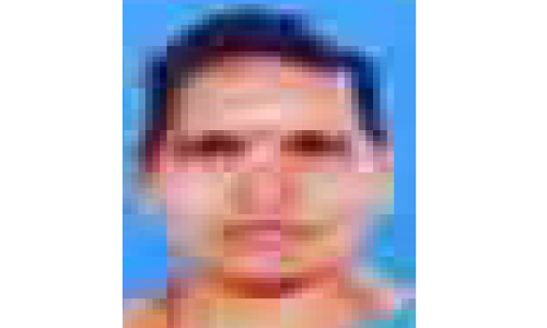 മരം വീണ് തൊഴിലാളി സ്ത്രീ മരിച്ചു