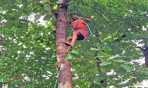 മരംമുറി തൊഴിലാളിയല്ല, ഇത് സബ് എൻജിനീയർ