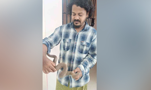 ഇരുതല മൂരിയെ വളർത്തിയ യുവാവ് അറസ്റ്റിൽ