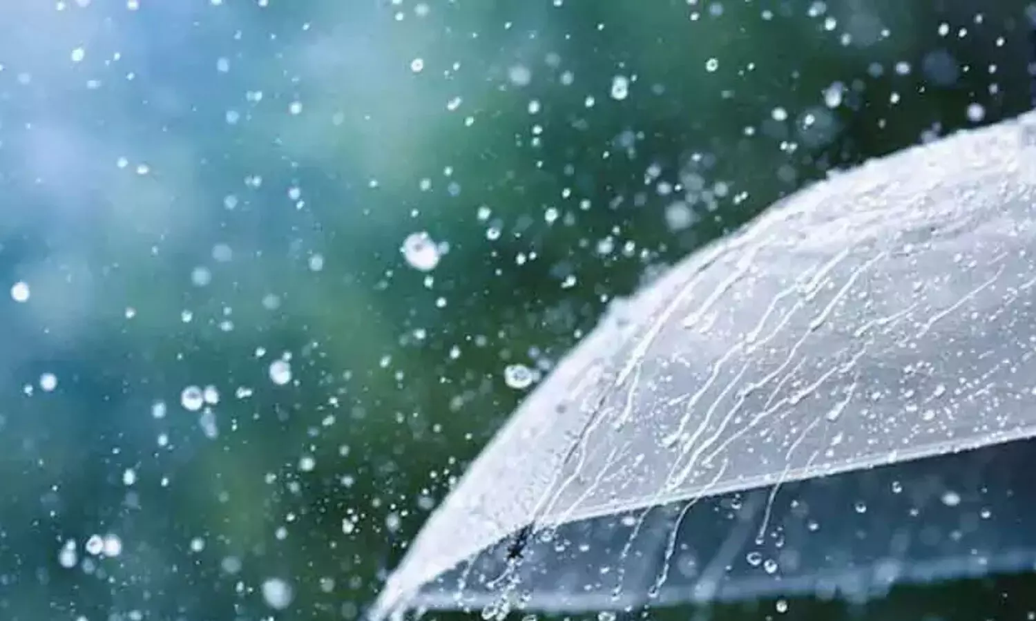 സംസ്ഥാനത്ത് നാളെ ശക്തമായ മഴക്ക് സാധ്യത