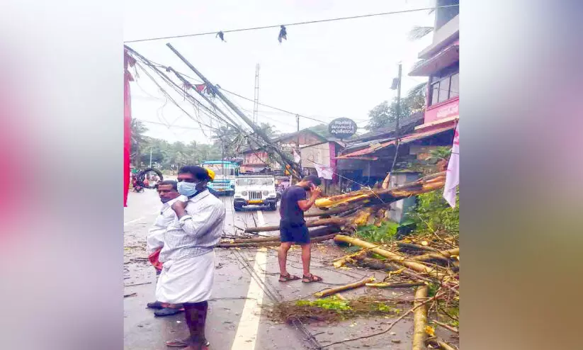 മരം വീണ് സ്കൂട്ടർ യാത്രികന് ഗുരുതര പരിക്ക് മരം വീണ് സ്കൂട്ടർ യാത്രികന് ഗുരുതര പരിക്ക്