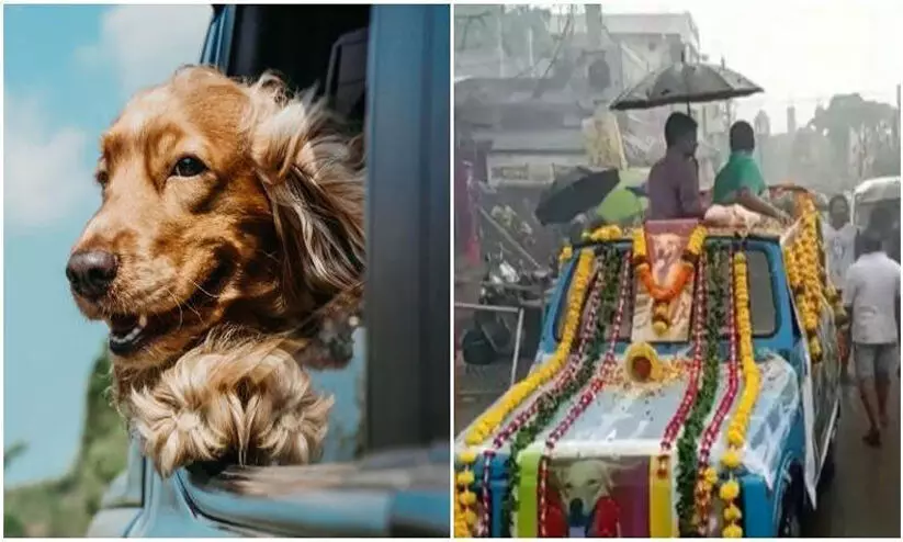 അഞ്ജലിക്ക് ആദരാഞ്ജലി; പ്രിയപ്പെട്ട വളർത്തുനായയുടെ ശവസംസ്കാരം നടത്തി കുടുംബം അഞ്ജലിക്ക് ആദരാഞ്ജലി; പ്രിയപ്പെട്ട വളർത്തുനായയുടെ ശവസംസ്കാരം നടത്തി കുടുംബം