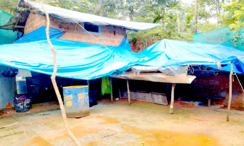 ലൈഫിൽ വീടില്ല; പഞ്ചായത്തിന് മുന്നിൽ സമരവുമായി യുവതിയും മകനും