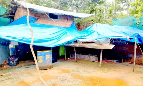 ലൈഫിൽ വീടില്ല; പഞ്ചായത്തിന് മുന്നിൽ സമരവുമായി യുവതിയും മകനും