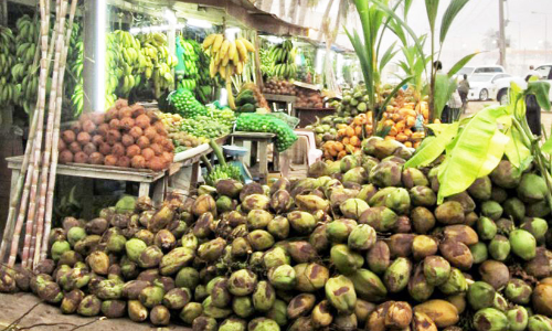 ഉൽപാദനം കുറഞ്ഞു, സലാലയിൽ കരിക്കിന് ക്ഷാമം