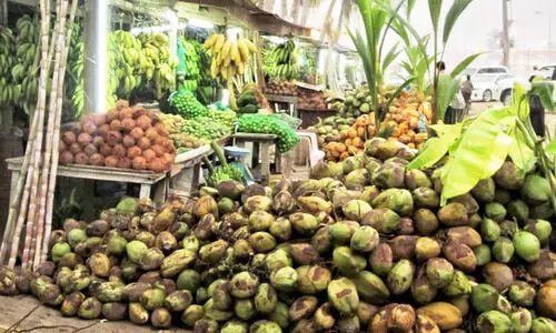 ഉൽപാദനം കുറഞ്ഞു, സലാലയിൽ കരിക്കിന് ക്ഷാമം