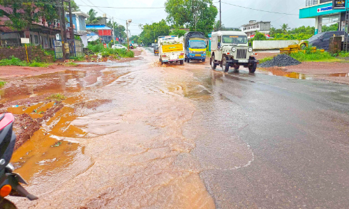 കള്ളക്കുഴിയും വെള്ളക്കെട്ടും പിന്നെ കാടും; ഇത് സംസ്ഥാന പാത