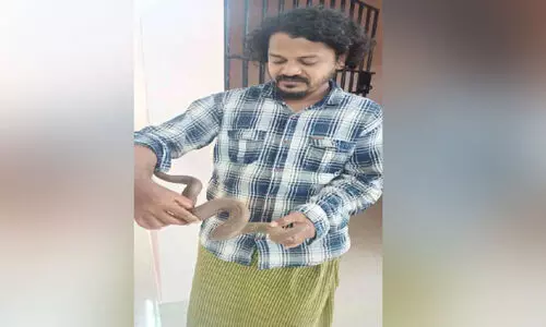 ഇരുതലമൂരി പാമ്പിനെ വളർത്തിയ യുവാവ് അറസ്റ്റിൽ
