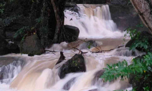 വാഗ്ദാനങ്ങളെല്ലാം ജലരേഖ  കിളിമാനൂർ ടൂറിസം കടലാസിൽ