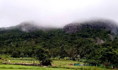 കരുതൽ മേഖലയിൽ പുതിയ ഉത്തരവിറക്കി സംസ്ഥാന സർക്കാർ