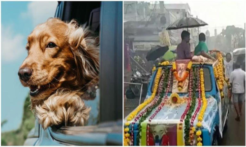 അഞ്ജലിക്ക് ആദരാഞ്ജലി; പ്രിയപ്പെട്ട വളർത്തുനായയുടെ ശവസംസ്‍കാരം നടത്തി കുടുംബം