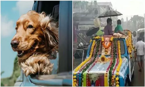 അഞ്ജലിക്ക് ആദരാഞ്ജലി; പ്രിയപ്പെട്ട വളർത്തുനായയുടെ ശവസംസ്‍കാരം നടത്തി കുടുംബം
