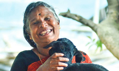 നഞ്ചിയമ്മയുടെ ഭൂമി തട്ടിയെടുത്ത കേസ്: മാരിമുത്തുവിനെ ഹാജരാക്കണമെന്ന് കലക്ടർ