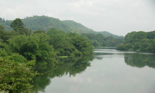 ആശങ്ക ഇല്ലാതെ രണ്ടാം ദിനവും : പെരിയാറിൽ ജലനിരപ്പ് സാധാരണ നിലയിൽ