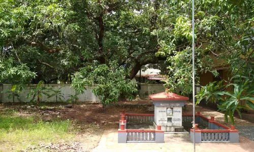 സ്വാതന്ത്ര്യ സമരത്തിന്റെ സ്മൃതിസാക്ഷ്യമായി ഗാന്ധിമാവ്